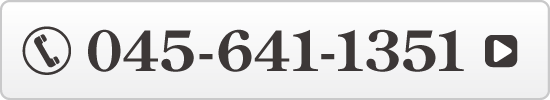 045-641-1351